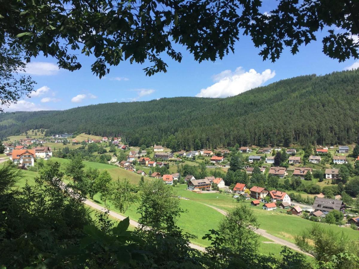 Ferienwohnung Herbert Best Баїрсбронн Екстер'єр фото